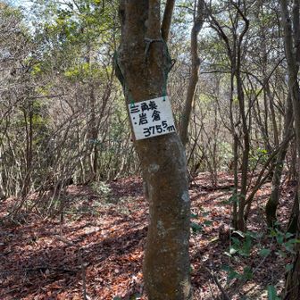 ここは三角点がありました。