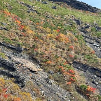 右側の岩肌にも🍁