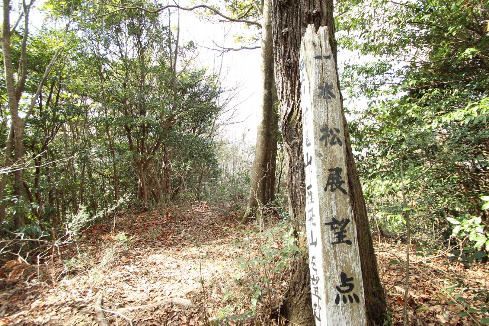 昔は立派な松の向こうに素晴らしい景色が望めたんでしょうね
今はほとんど眺望なし。