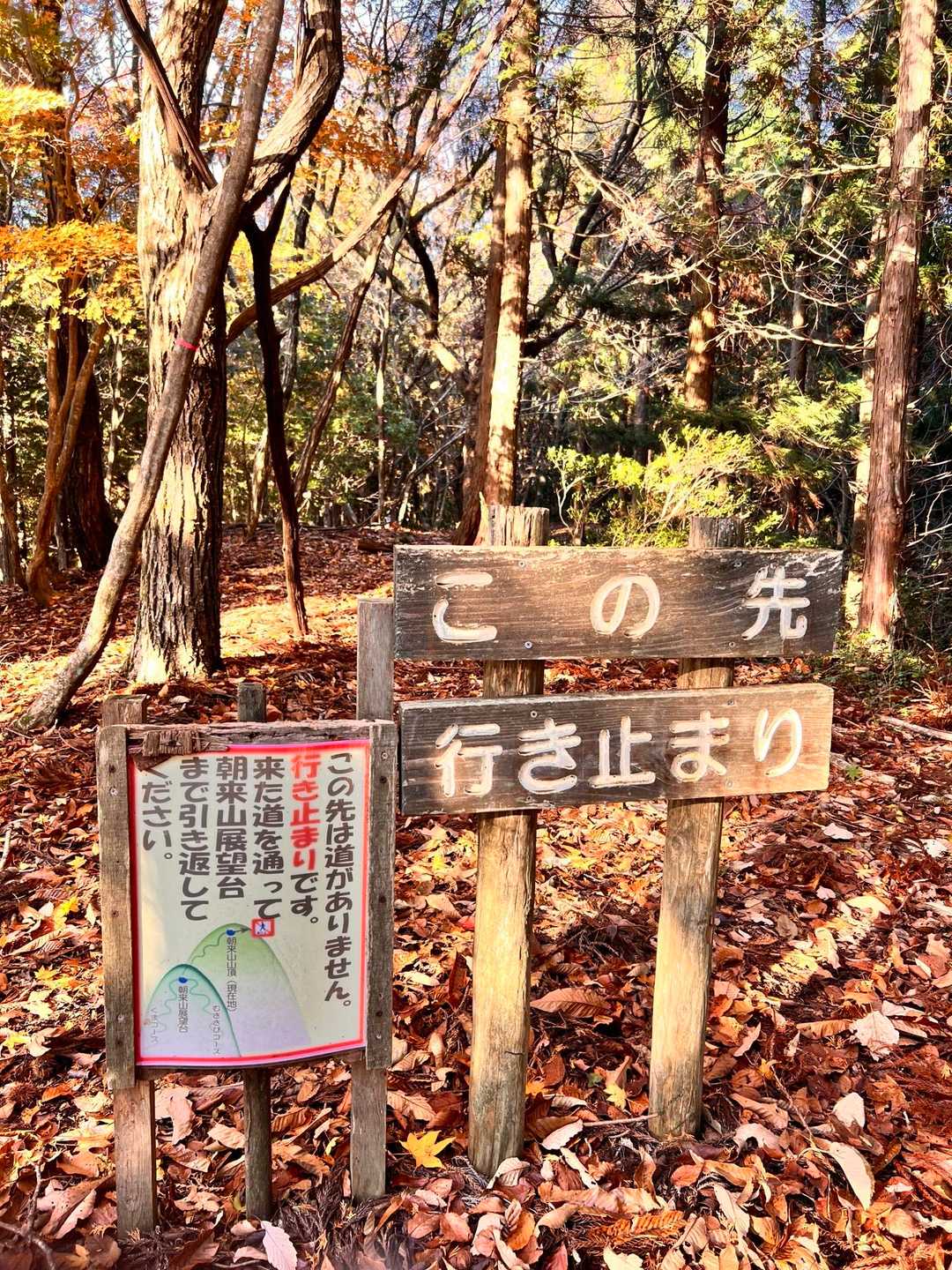 ピストンで降ります