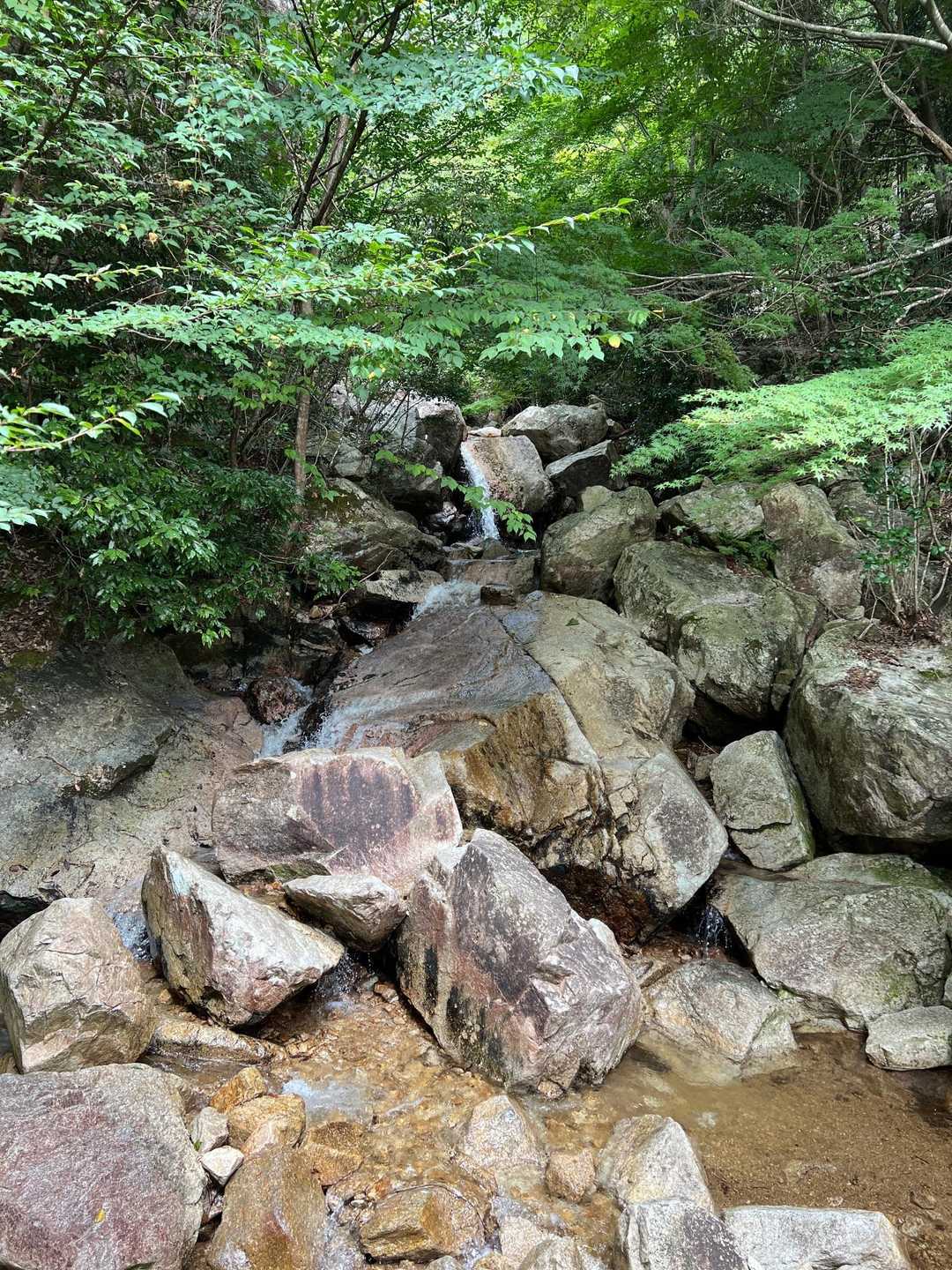 ヤケ山-ヤケオ山 往復コースの写真