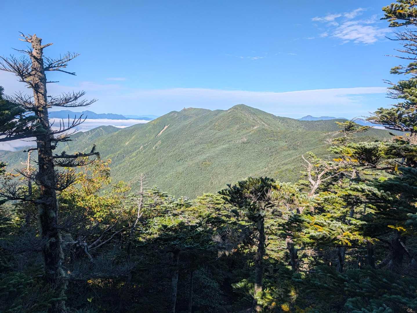 金峰山