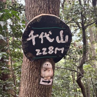 そうこうしてるうちに千代山！
ぬい活？
これは賤機山と同じ人が作ったやつだね！