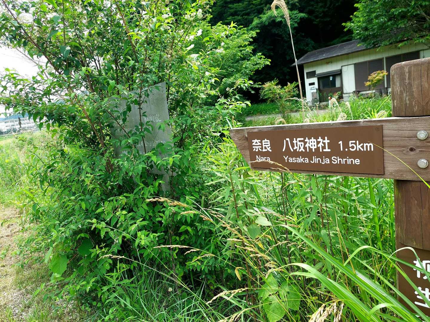 柳生街道歩きます