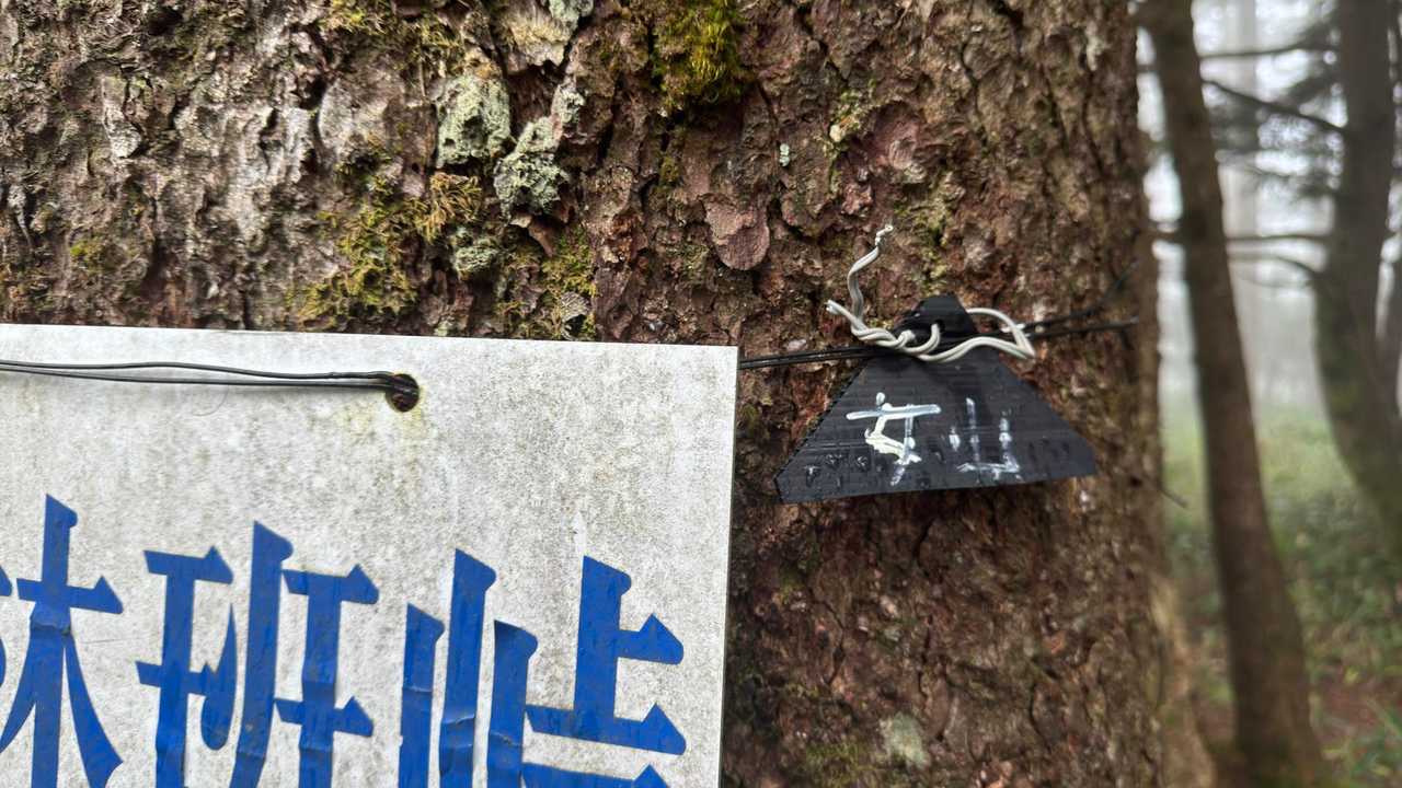 皇海山（鋸山周回）、日帰り最難関 の写真 35