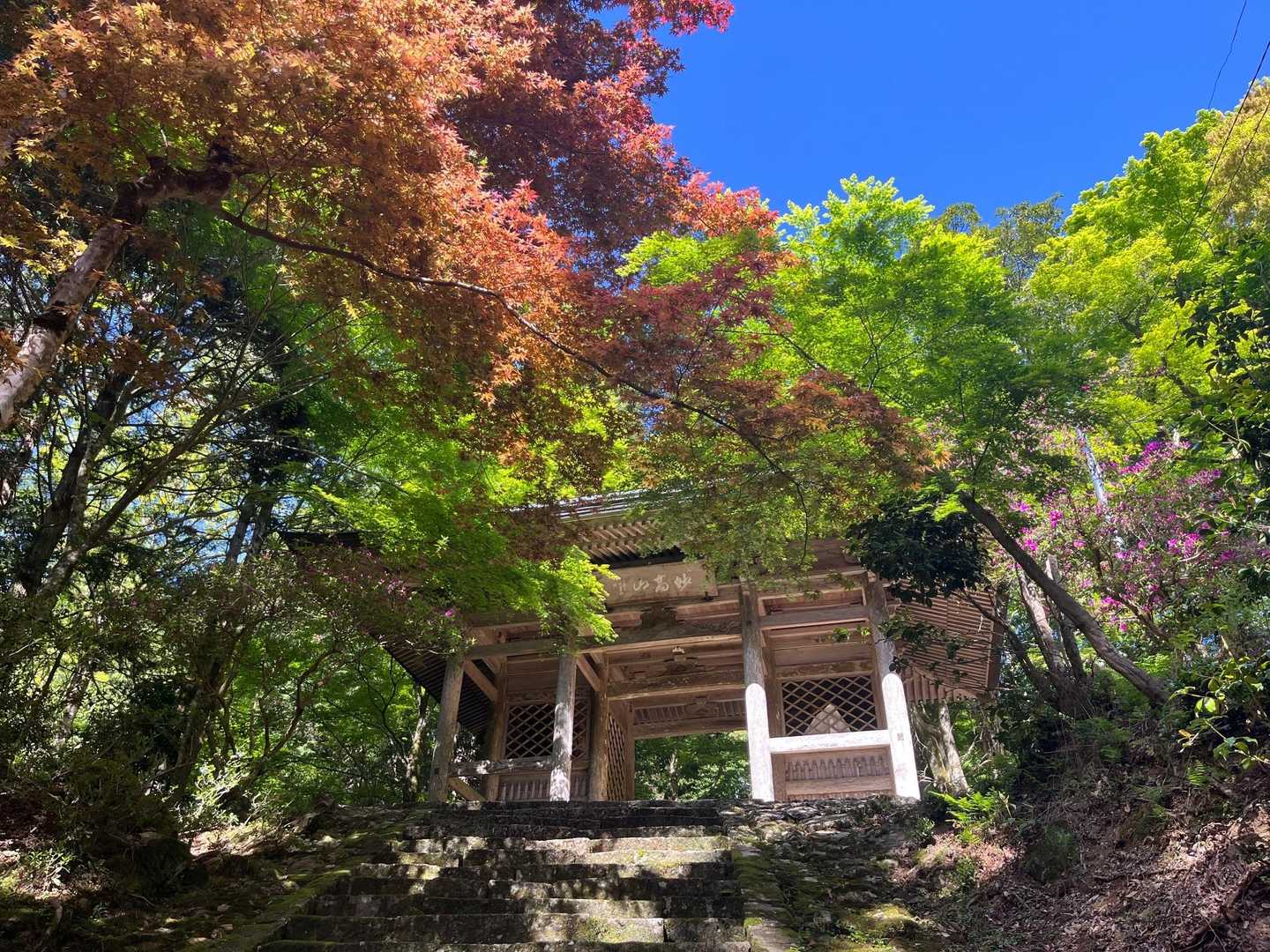 美しい🤩📷
絵になります✨👍🏻
ここを上がって🚶🏻