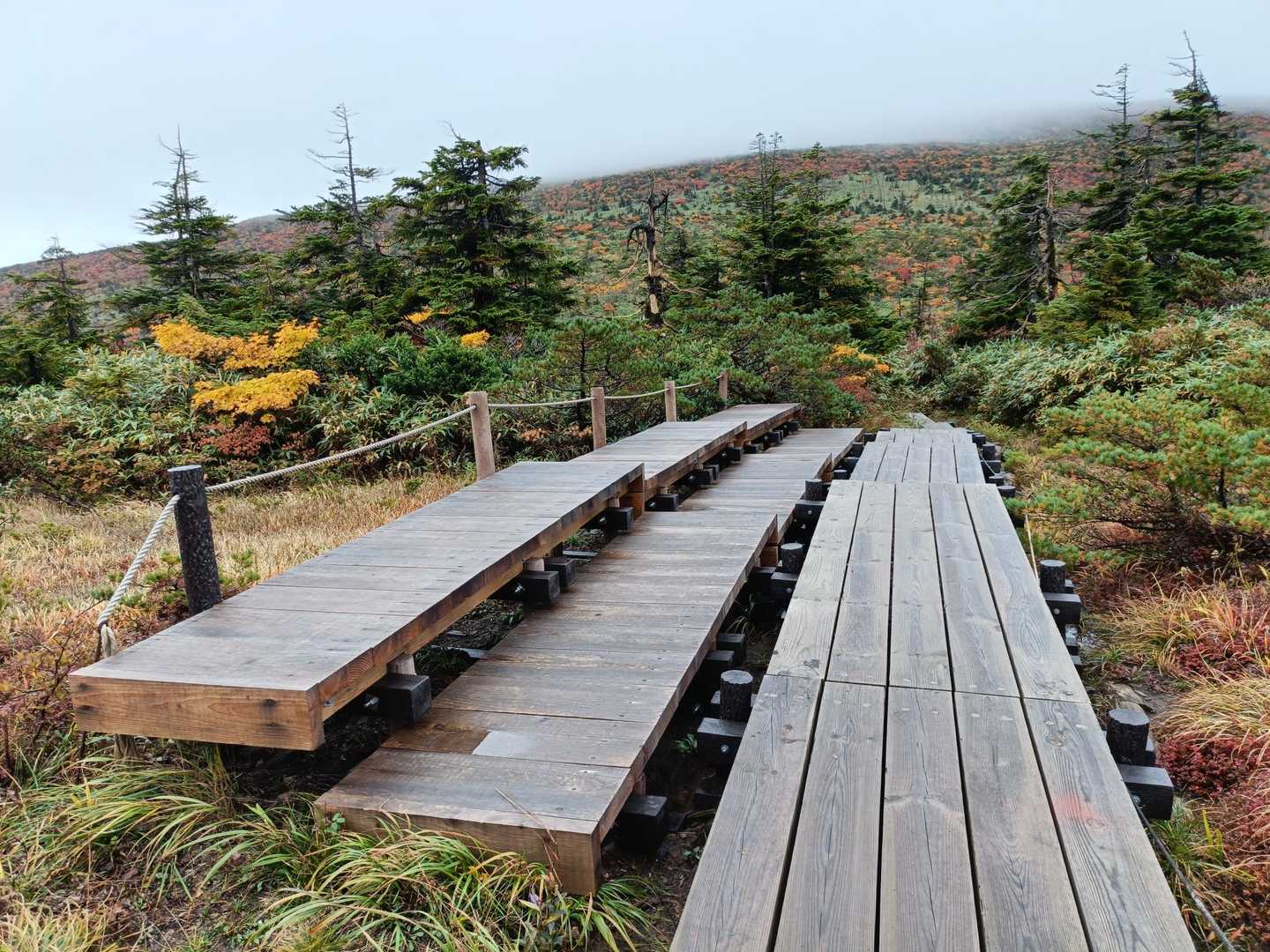 刈田峠-前山-杉ヶ峰-屏風岳 往復コースの写真