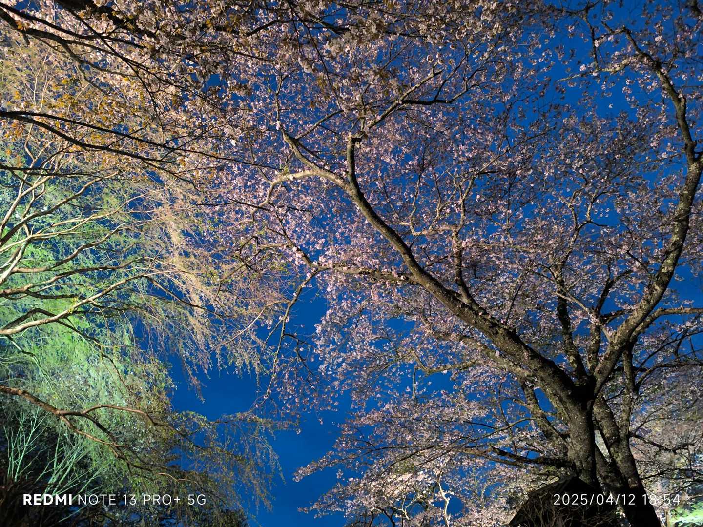 吉野水分神社-高城山-金峯神社-青根ヶ峰 往復コースの写真