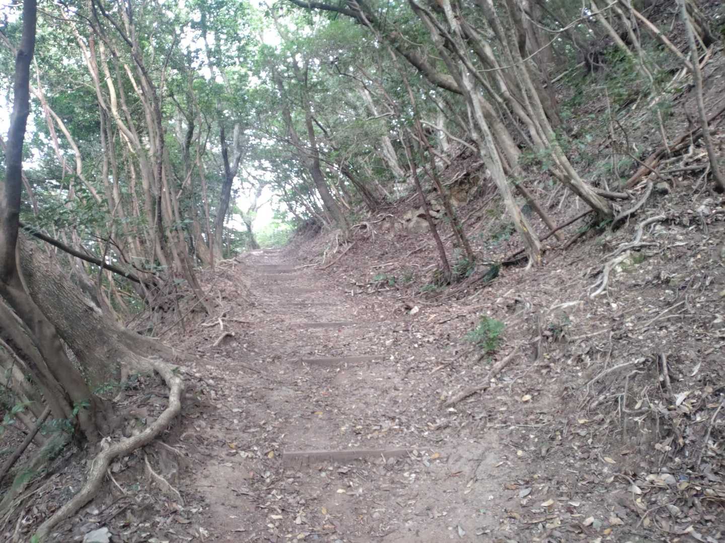 岩屋山 往復 | 悲運の名将、高橋紹運玉砕の岩屋城跡へ向かう里山ハイクの写真