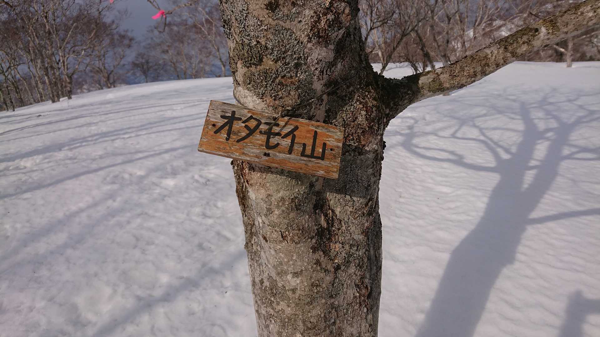 山頂🙌