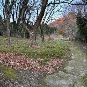 細い道をそのまま進みます！