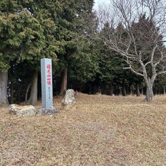 荒れてなくしっかり管理されてます✨