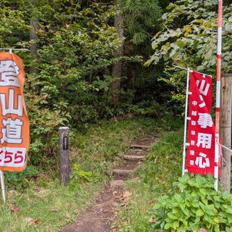 松手山コース入口。
スタートです。