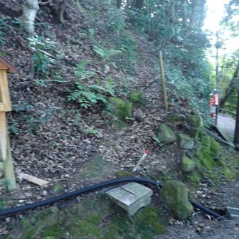 山に登ってみる