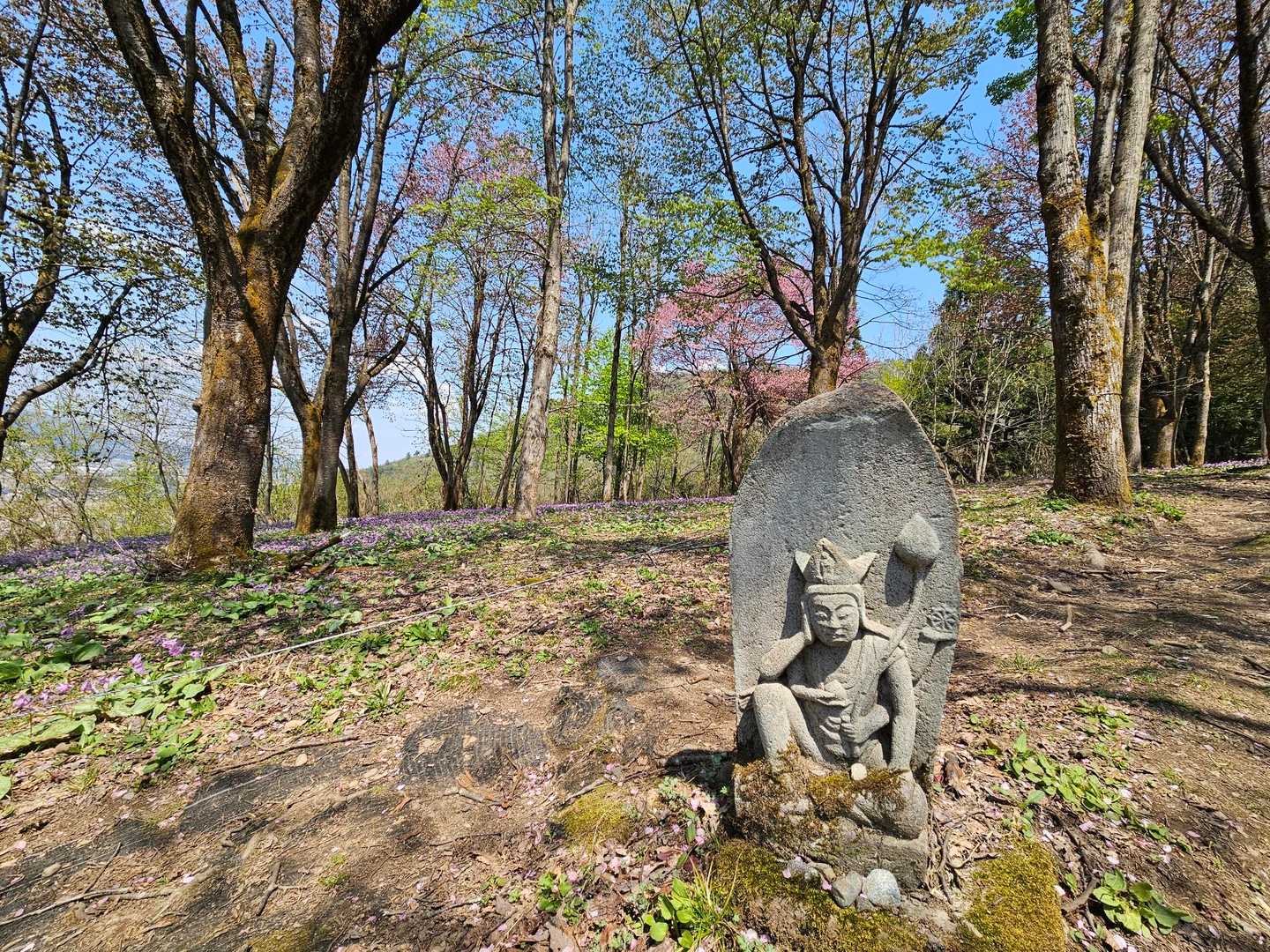 坂戸山登山口-坂戸山 周回コースの写真