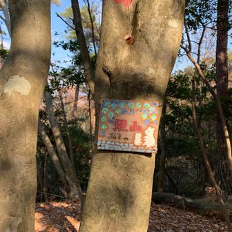 まずは自身の「熊山」
おぉ、、、