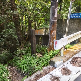 下りの油コブシ道に出る途中で堡塁岩に寄り道