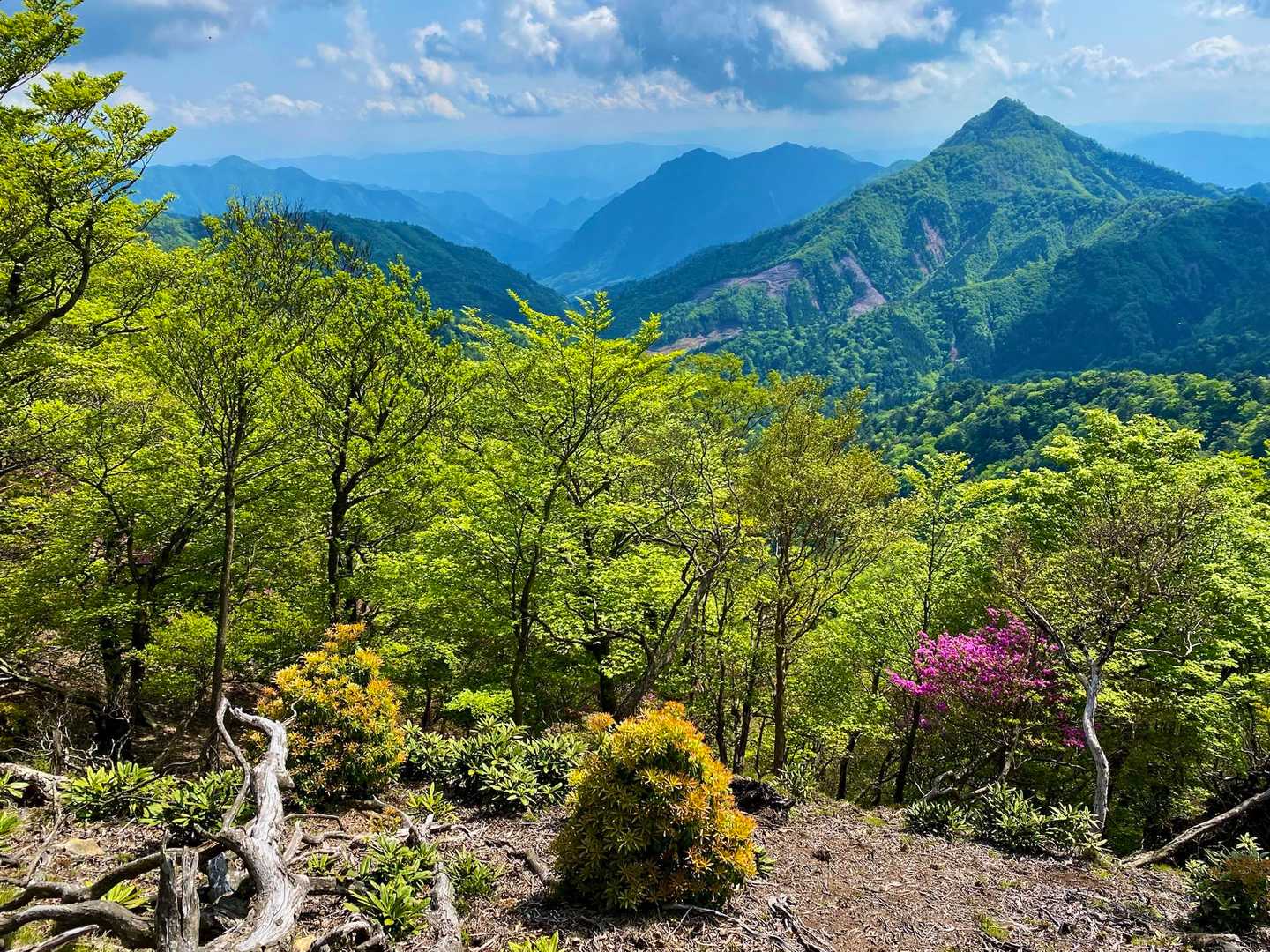 尖った日隠山の、左側の谷から歩いて来ました。