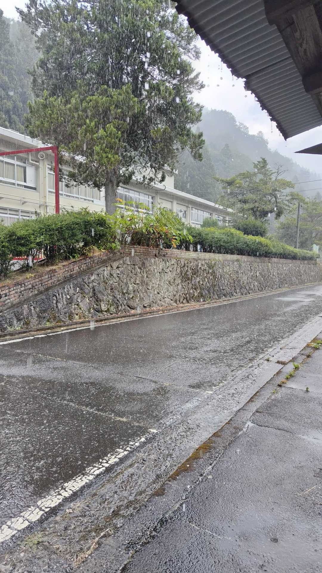急にザーと降り出してきた💦
良いとこに雨宿りできるバス停がありました!