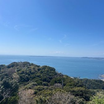 富士山が見えてないけど
海がキレイでさいこー

