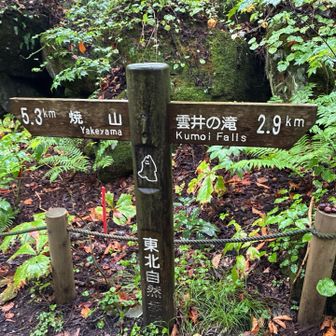 雲井の滝までは約3km