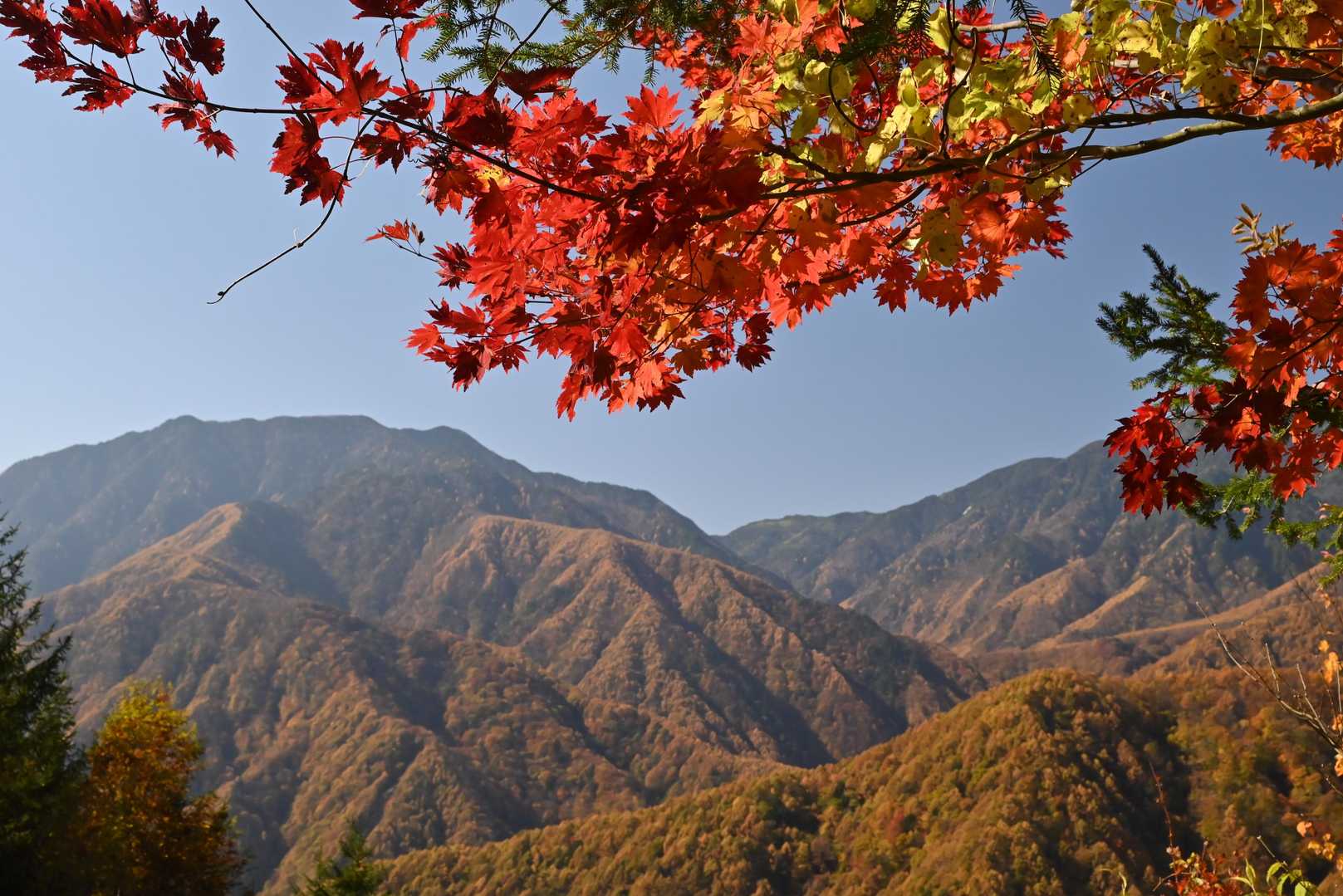 烏帽子岳。
