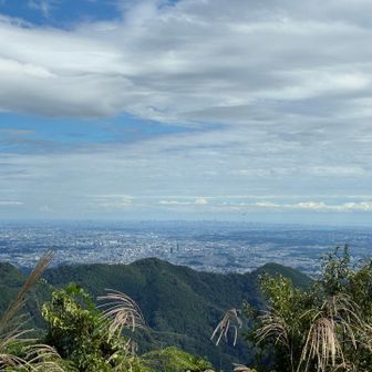景信山から都心方面の眺望