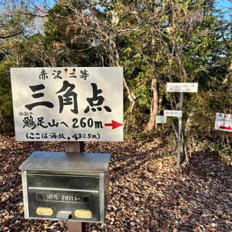 伝説の鶏足山？