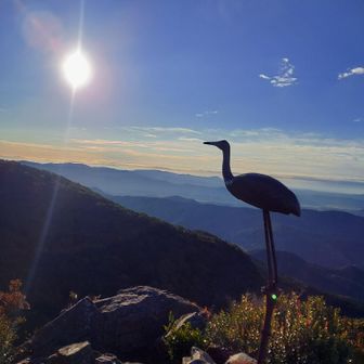 場所が変わって、さあ、ここはどこでしょう？　決して 昨日の写真では ありません ので、 誤解のないよう お願いします　笑
