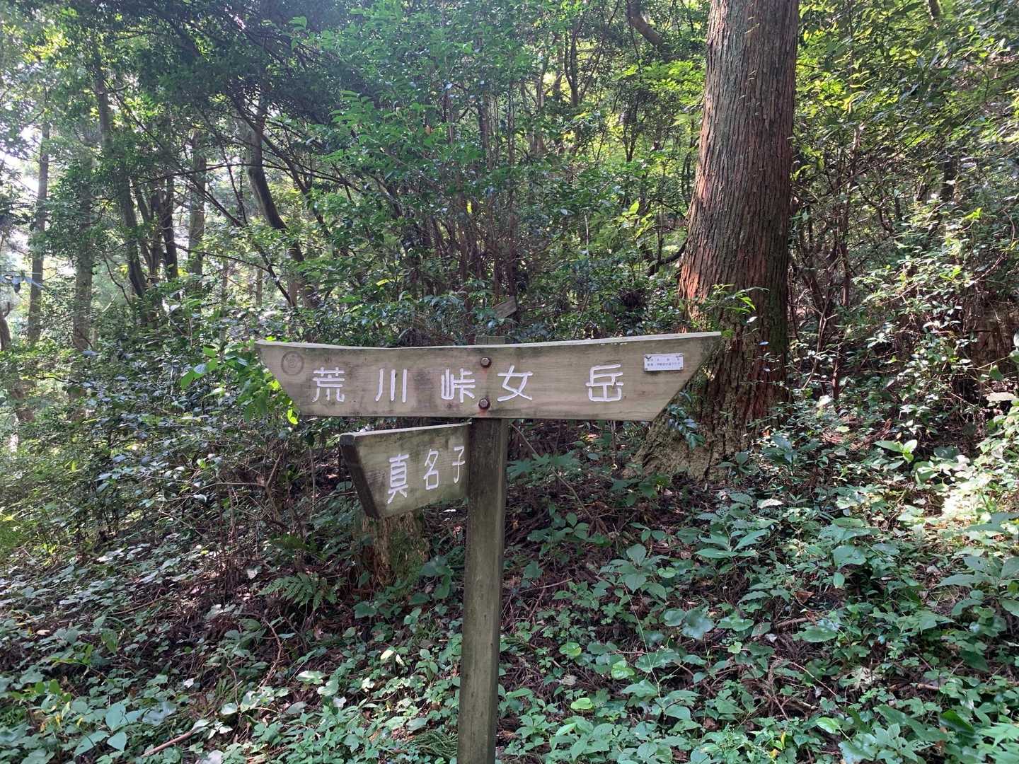 やっとのことで分岐に到着💦
ここまでの傾斜がキツかった印象