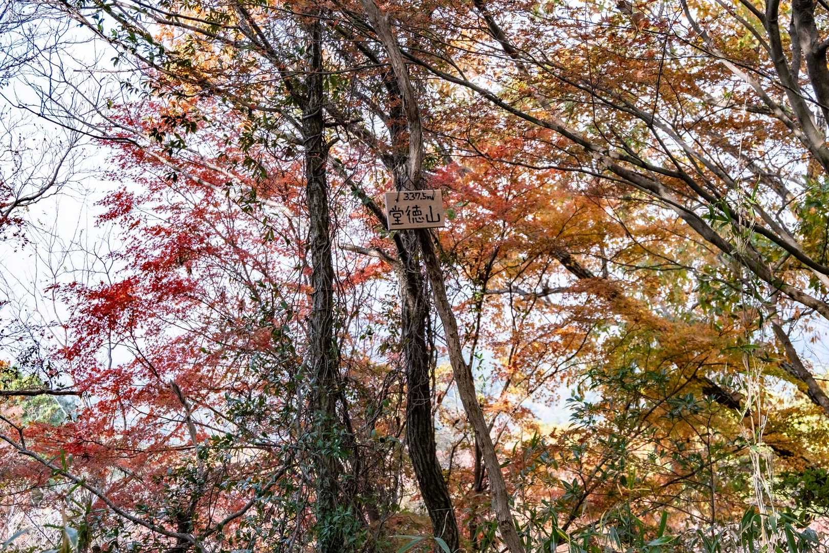 JR元町駅-地下鉄　県庁前駅-諏訪神社参道-堂徳山-城山- 縦走コースの写真