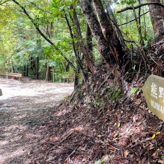 林道交差　小雲取越の中間地点
林道を右に進むとトイレ有り