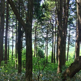 燕岳山頂から撮る。何もないです。