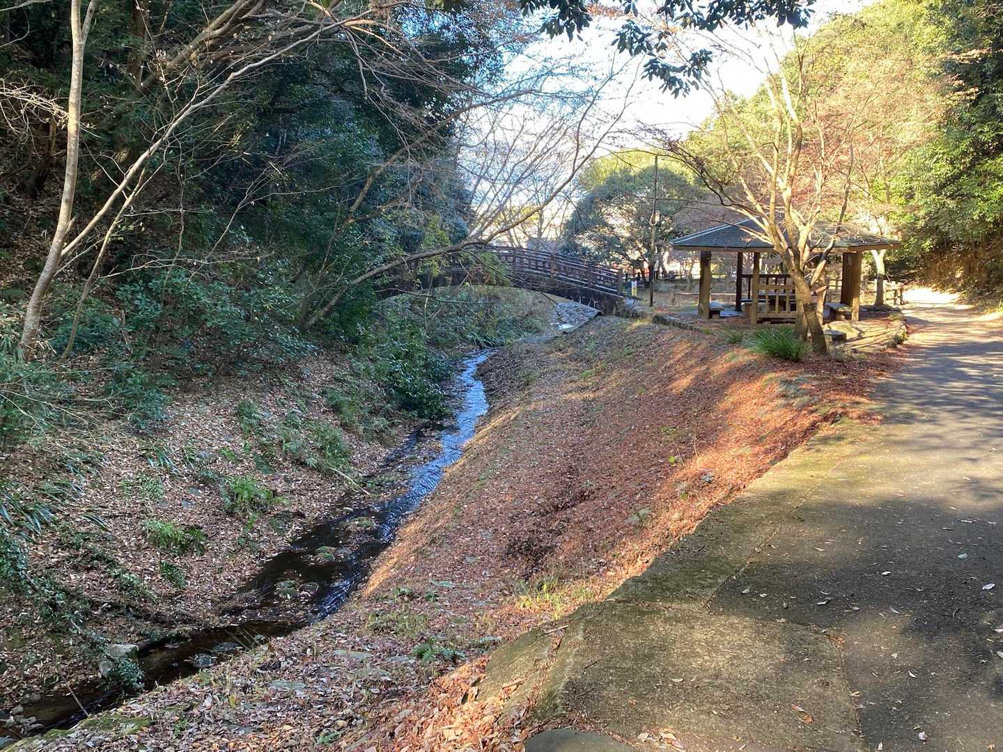 沢のせせらぎを横手にルンルン歩いてる🚶