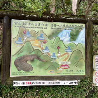 赤目四十八滝に来ました♪