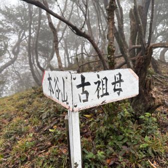 ありますが、尾平越から古祖母までは