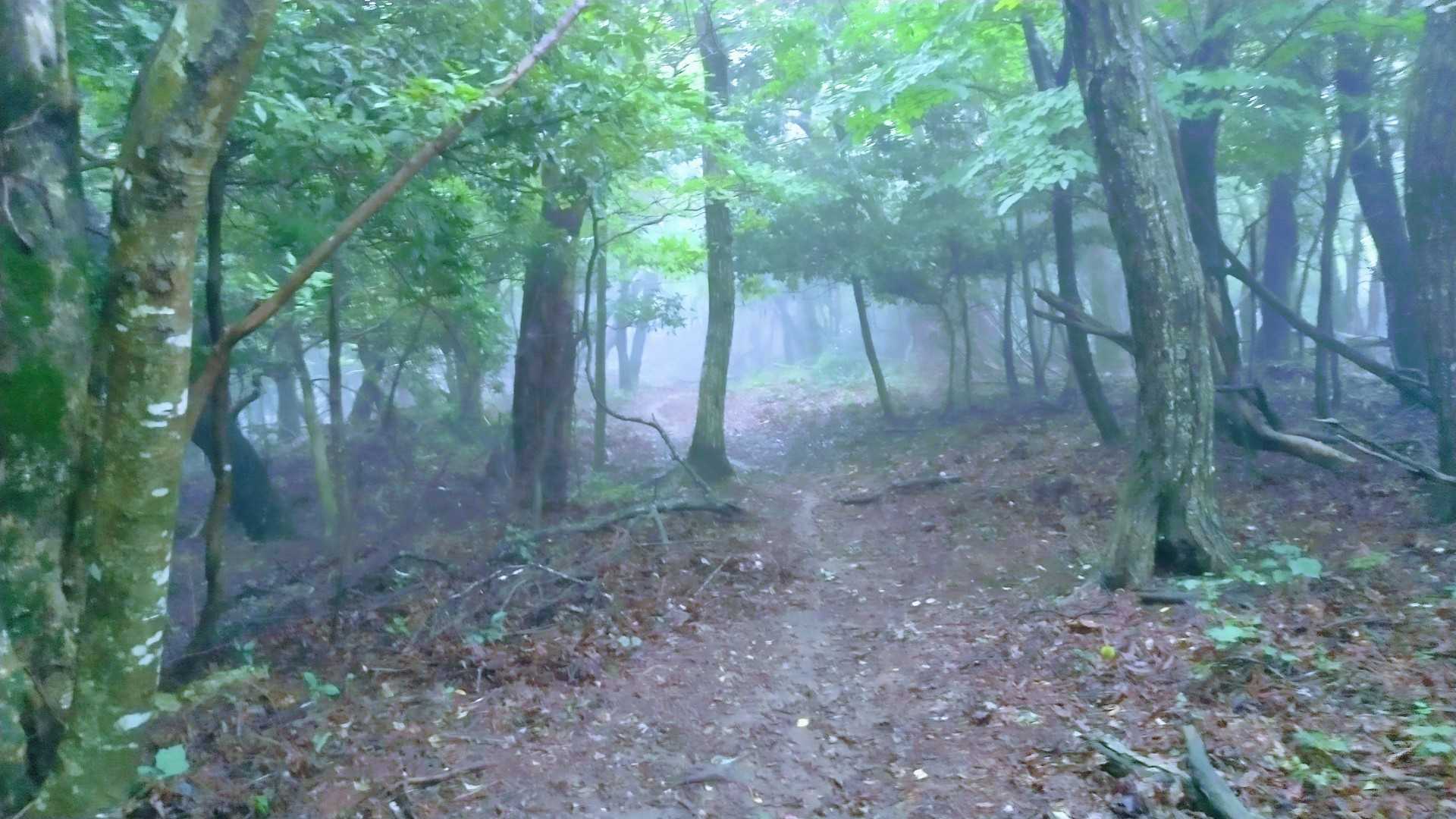 薄暗いぞ～😭