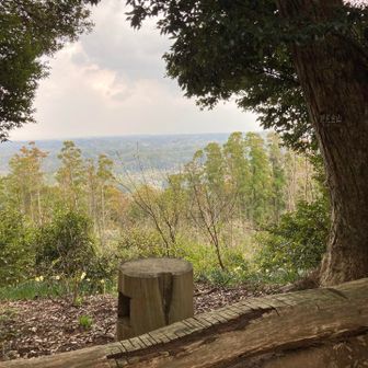 先人の記録をカンニングして、この木だな　と。
はたして、看板の針金が外れてましたので、ぐるぐると付け直しました。