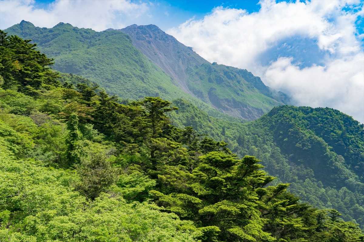 雲仙岳の写真