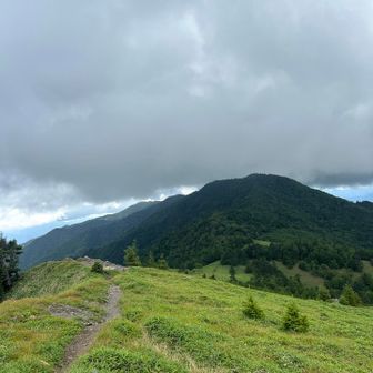 標高2000弱⛰️お花畑をどこまでも🌸

※賽の河原付近でキベリタテハ🦋