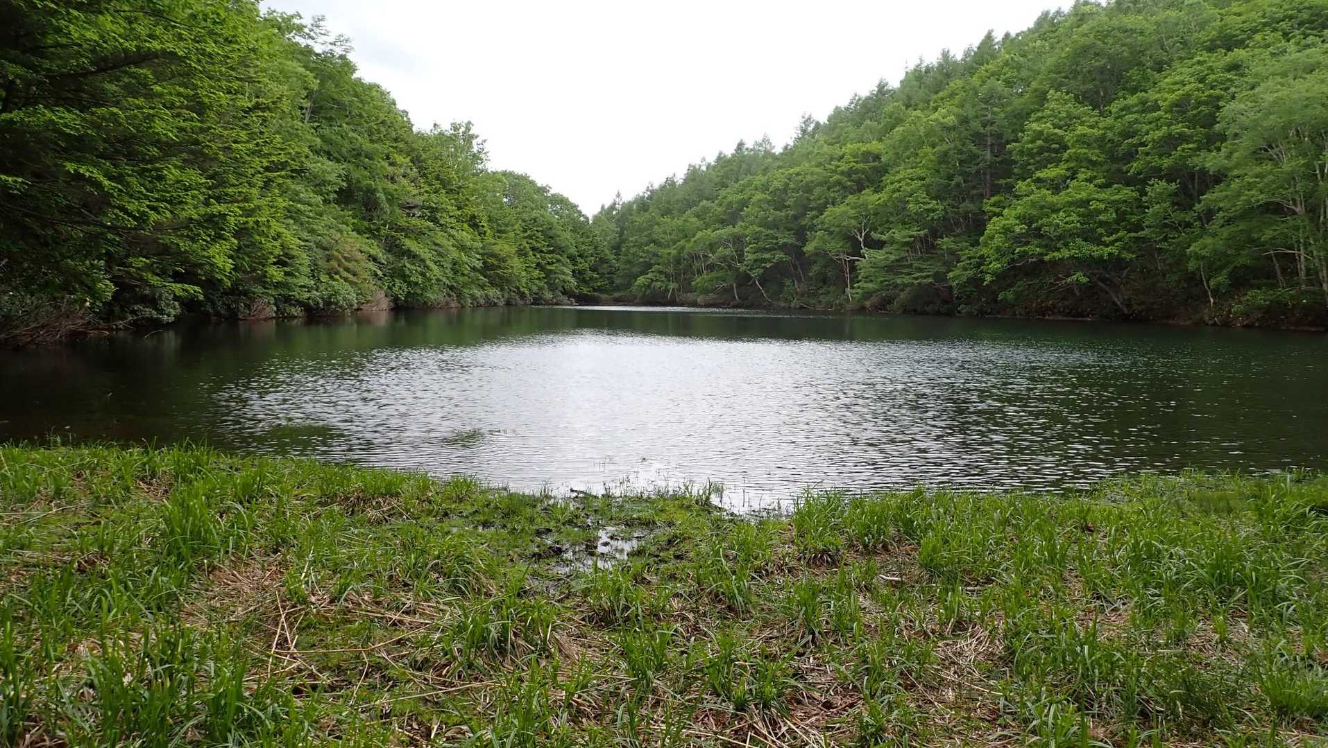 「平兵衛池」の畔に良い感じのスペース
ここでテン泊したら素敵かも🤩