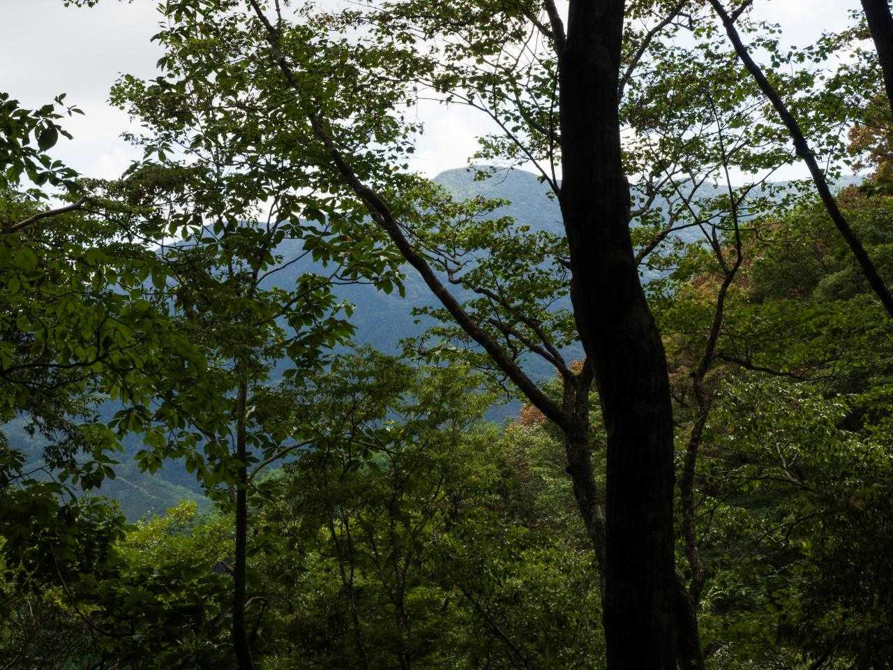 このまま天気が崩れていくかなと思っていたけど持ち直してきた。再び前方に福田頭方面が見えてきた。