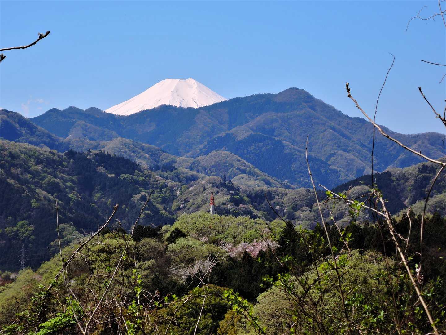 富士山！昨日の雪で真っ白に。