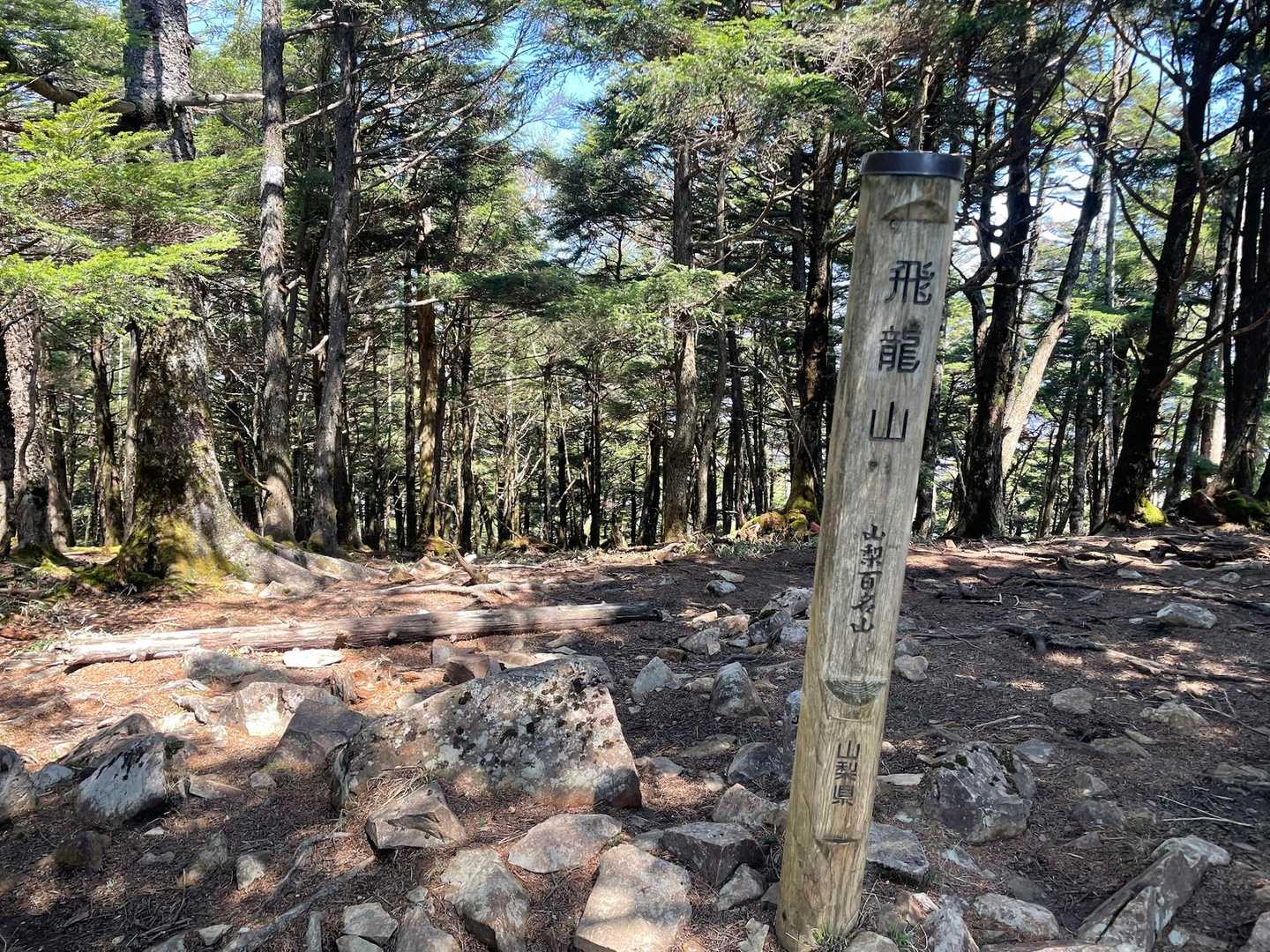 飛龍山（丹波バス停）＜ミサカ尾根＞の写真