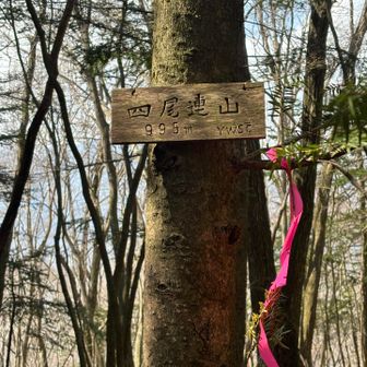 シビレ山も通過
見落としそうな小さな看板でした