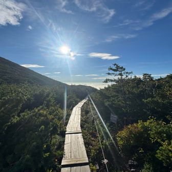 ☀️🚶🚶‍♀️