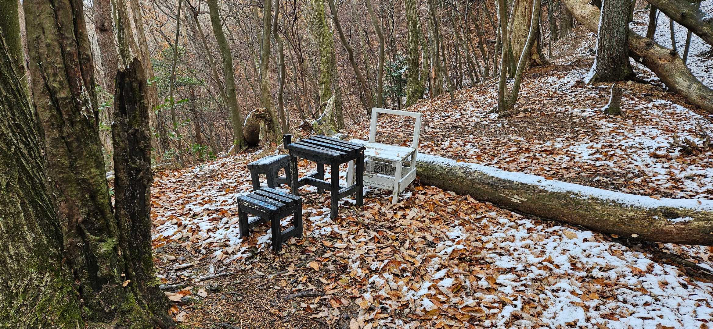鉢伏山-明ヶ田尾山 往復コースの写真
