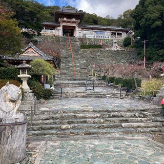 急階段、凸凹で怖い😨