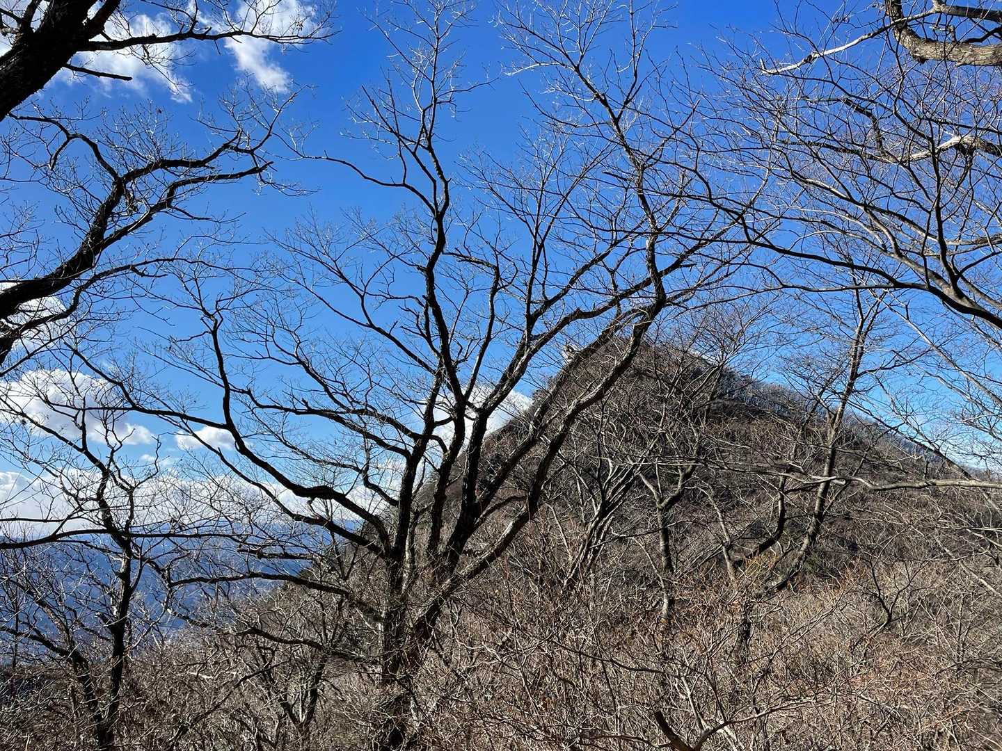 中ノ岳から見る十二ヶ岳
