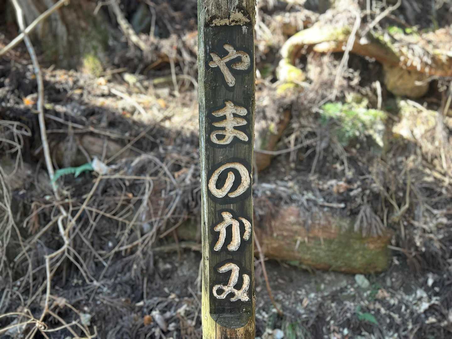 山の神さま
今年もどうぞよろしく
お願いいたします🙏